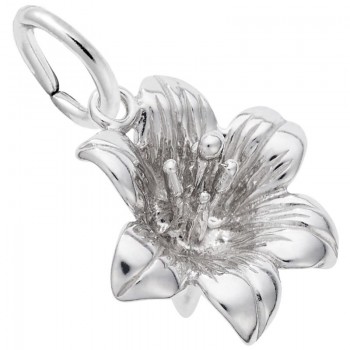 https://www.fosterleejewelers.com/upload/product/4580-Silver-Lily-RC.jpg